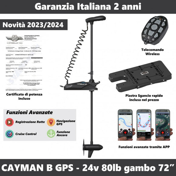 Haswing Cayman-B GPS 80lb gambo 72